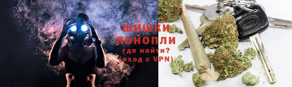 индика Абаза