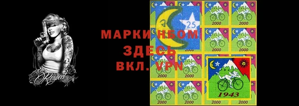 индика Абаза