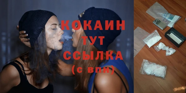 сатива Абинск