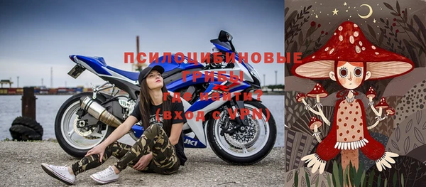 индика Абаза