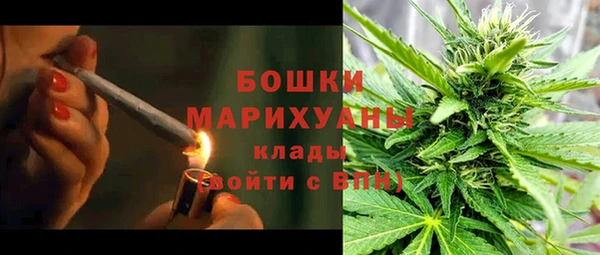 сатива Абинск