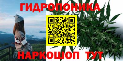 марки lsd Заволжье