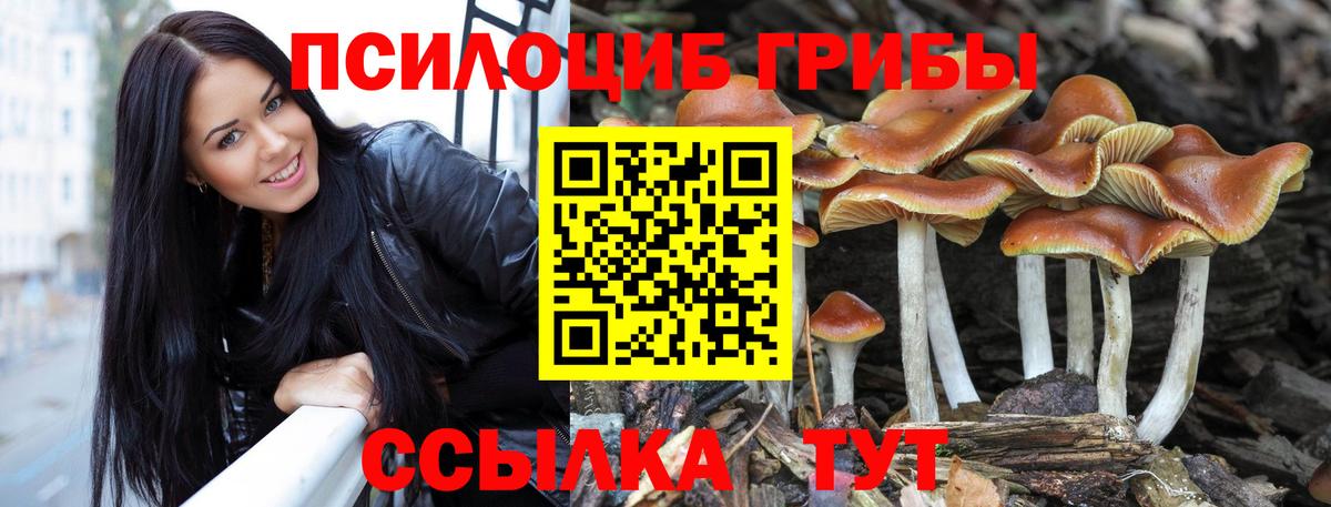 Псилоцибиновые грибы мухоморы  Вход с VPN  Новоалтайск  Галлюциногенные грибы Magic Shrooms 