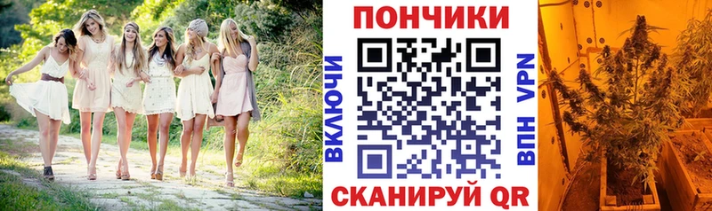 цены Новоалтайск Бошки Шишки конопля